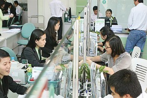 NVB: lợi nhuận sau soát xét sụt giảm mạnh